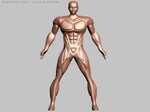 сильна людина 3D Модель