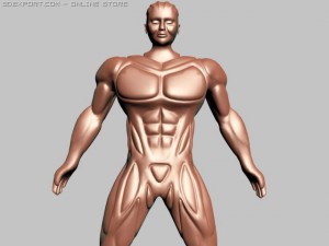 strong man 3D Model