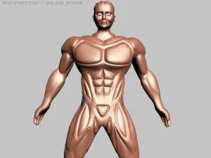 strong man 3D Model