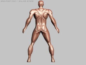 strong man 3D Model