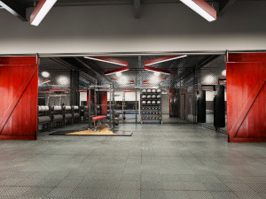 gym - workout - exercise room Modèle 3D