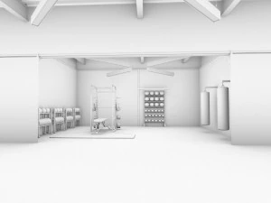 gym - workout - exercise room 3D Model