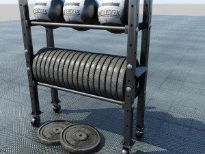free weight and medicine ball rack Model 3D