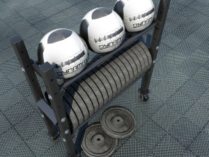 free weight and medicine ball rack Modelo 3D