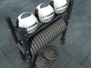 suporte para peso livre e bolas medicinais Modelo 3D