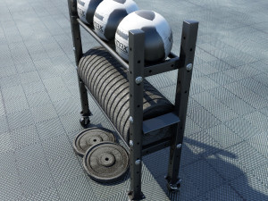 free weight and medicine ball rack Modelo 3D