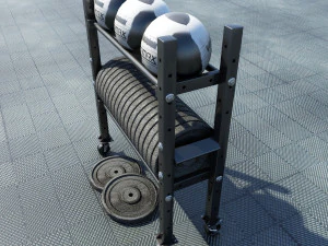 suporte para peso livre e bolas medicinais Modelo 3D