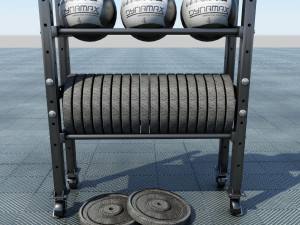 free weight and medicine ball rack Modelo 3D