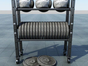 suporte para peso livre e bolas medicinais Modelo 3D