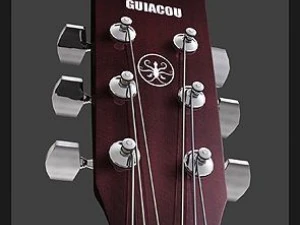 acoustic guitar 3D Model