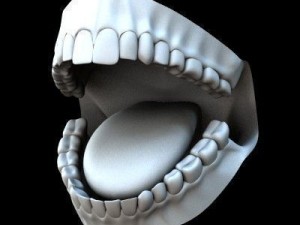 Base female Model 3D