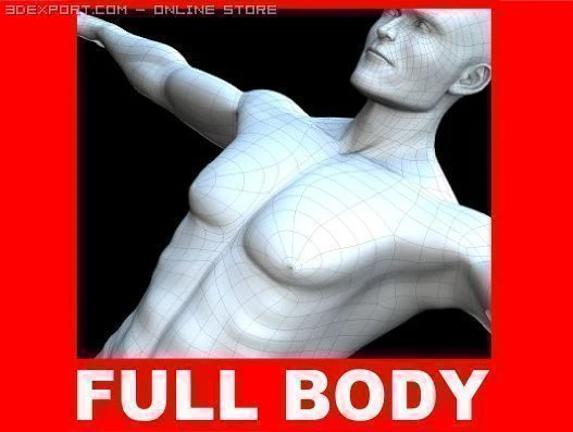 आधार पुरुष 3D मॉडल .c4d .max .obj .3ds .fbx .stl .blend 