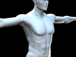 Base male Model 3D