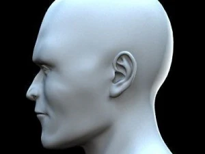 आधार पुरुष 3D मॉडल