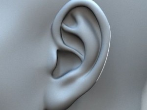 Base male Model 3D