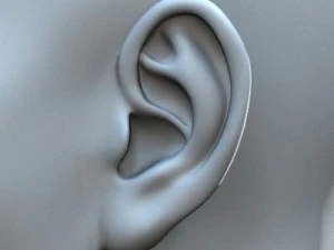 आधार पुरुष 3D मॉडल