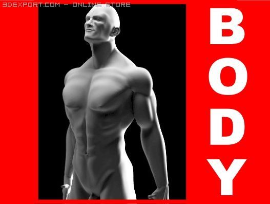 Muscular male 3D मॉडल .c4d .max .obj .3ds .fbx .stl .blend