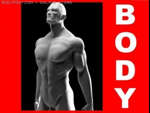 Muscular male 3D Model
