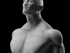 Muscular male 3D मॉडल