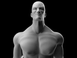 Muscular male 3D Model