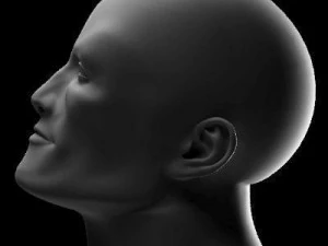 Muscular male 3D Model
