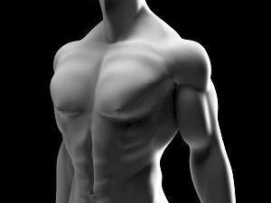 Muscular male 3D Model
