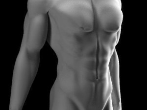 Muscular male 3D मॉडल