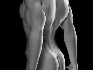 Muscular male 3D मॉडल