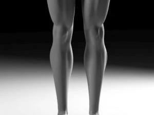 Muscular male 3D Model