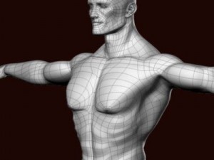 Muscular male 3D मॉडल