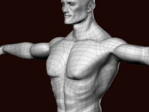 Muscular male 3D Model