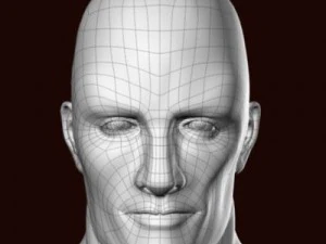 Muscular male 3D Model