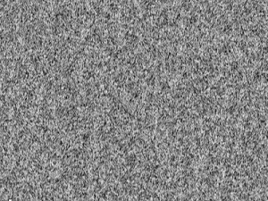 fur texture tiff format CG Texturen