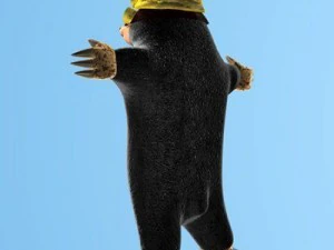 3 cartoon characters bundle 3D Model