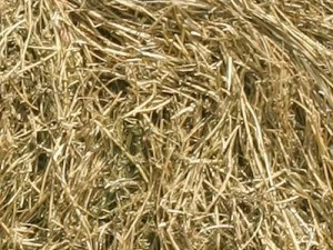 hay round bale texture CG Textures