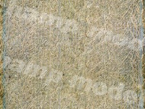 hay round bale texture CG Texturen