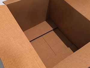cardboard box Model 3D