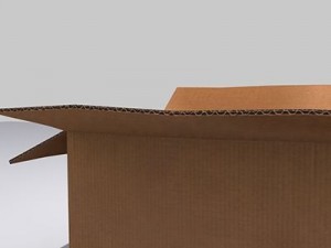 cardboard box Model 3D