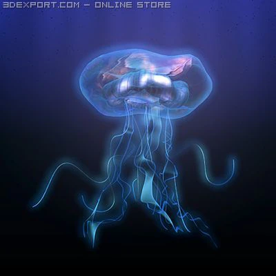 jellyfish 3D Model .c4d .max .obj .3ds .fbx .stl .blend