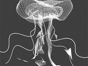 jellyfish 3D Model