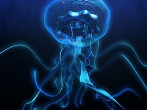 jellyfish 3D-Modell