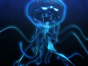 jellyfish 3D Model