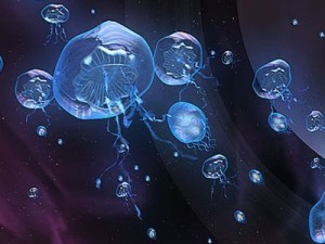 jellyfish 3D-Modell