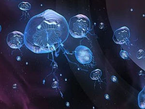 jellyfish 3D Model