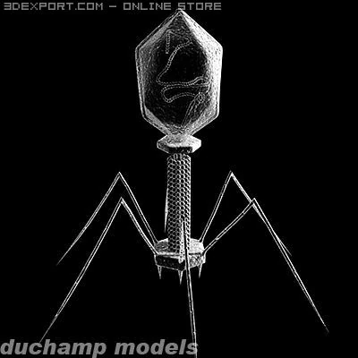 バクテリオファージウイルス 3Dモデル .c4d .max .obj .3ds .fbx .stl .blend 