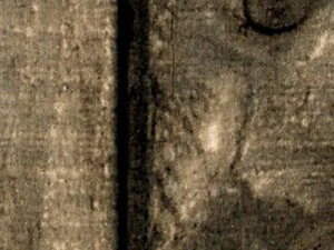 wood planks 6000x10000px CG Textures