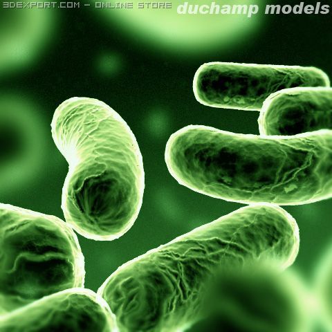 bacillus bacterium 3Dモデル .c4d .max .obj .3ds .fbx .stl .blend 