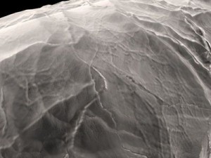 bacillus bacterium 3Dモデル