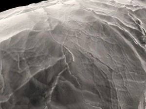 bakteria Bacillus Model 3D