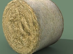 hay round bale Modèle 3D